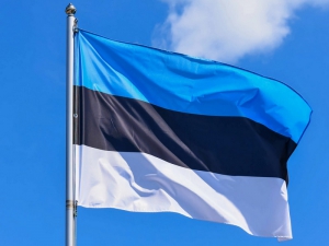 Полиция в Эстонии начала производство в отношении трёх лиц, которые размахивали флагом России из окна машины