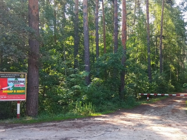 В Липецкой области введен запрет на посещение лесов