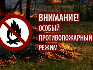 В Липецкой области вводят особый противопожарный режим с 11 по 30 июня