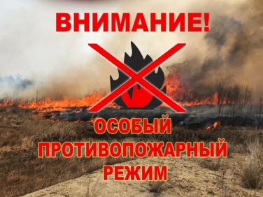 На территории региона с 16 августа по 30 сентября вводится особый противопожарный режим