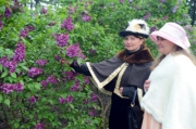 Запахом цветущих сиреневых садов можно насладиться в Становлянском районе