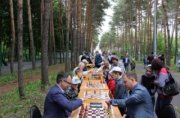 Липчан приглашают на фестиваль «Шахматы каждому»
