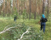 Посещение лесов в регионе временно ограничено до 31 августа.