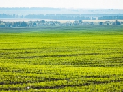 Аграрии во всех районах Липецкой области приступили к весенним работам
