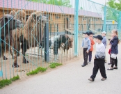 День рождения липецкого зоопарка отметят открытием новых вольеров.