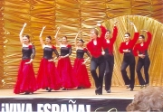 В Липецке пройдет праздник испанского танца.