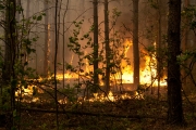 В администрации Липецка обсудили меры по предупреждению пожаров.