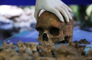 Липецкие археологи обнаружили захоронение сарматского воина