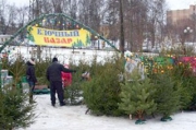 Елочные базары открываются 20 декабря в Липецкой области