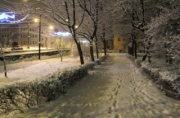 В Липецке вновь ожидают снегопад, метель и ветер