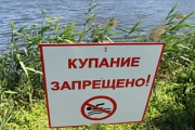 Центральный пляж Липецка закрыт для купания из-за качества воды