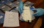 МИД РФ удивлен освещением расследования поставок кокаина из Аргентины