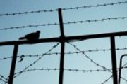 По закону о «дне за полтора» освобождены уже 167 осужденных