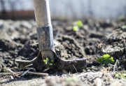 В Союзе садоводов разъяснили, введут ли в России «налог на огород»