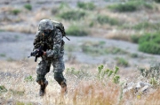 МИД РФ призвал помешать переброске боевиков в зону карабахского конфликта