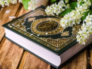 В Швеции в праздник Курбан-байрам разрешили сжечь Коран