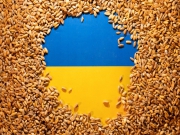 В Польше не ожидали принять столько зерна из Украины