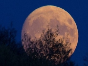 Российская станция «Луна-25» подлетает к Луне