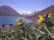В горах на юге Казахстана пропали 12 туристов.