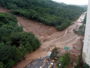В результате оползней в Южной Корее погибли 18 человек.