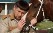 Чехия заморозит выручку от возможных побед беговых лошадей Кадырова.