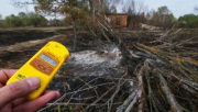 Лесной пожар под Чернобылем локализован.