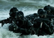 СМИ узнали о создании отряда боевых пловцов для охраны Крымского моста