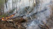 Площадь пожара в Байкало-Ленском заповеднике в Иркутской области выросла до 90 га
