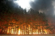 Пожар площадью 130 га тушат в лесах Забайкалья