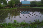 Вода начала уходить из подтопленных сел в Приморье, где введен режим ЧС