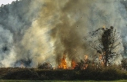 Более 1,5 тысяч гектаров леса выгорели на Дальнем Востоке за сутки