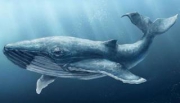 «ВКонтакте» частично заблокирована в Индии из-за игры «Синий кит»
